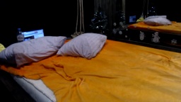Para_Wmh  03-12-2020